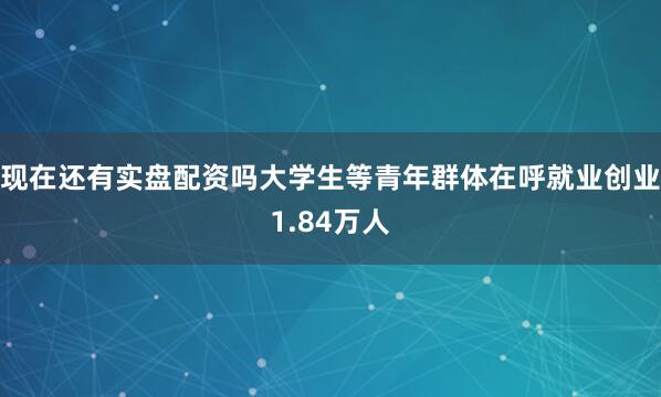 现在还有实盘配资吗大学生等青年群体在呼就业创业1.84万人