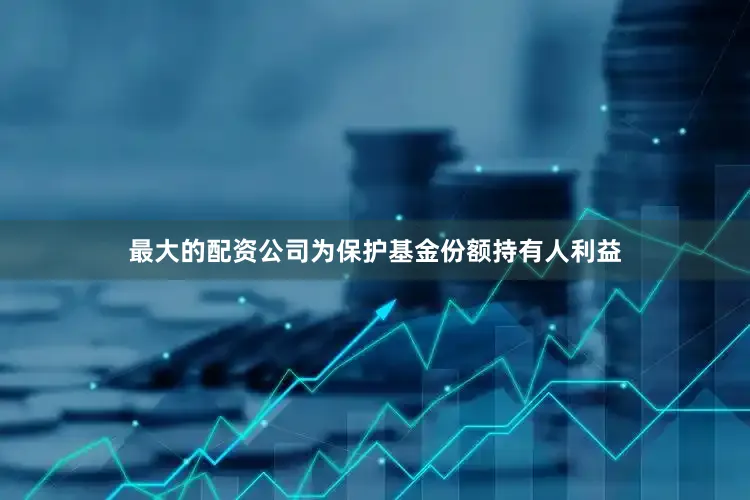 最大的配资公司为保护基金份额持有人利益
