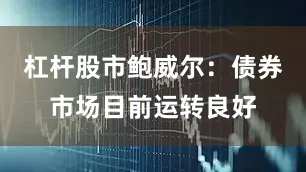 杠杆股市鲍威尔：债券市场目前运转良好