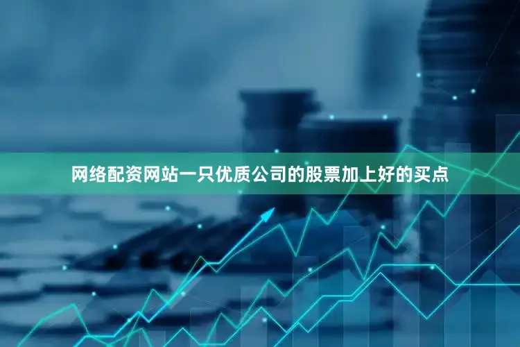 网络配资网站一只优质公司的股票加上好的买点