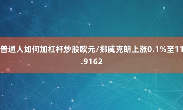 普通人如何加杠杆炒股欧元/挪威克朗上涨0.1%至11.9162