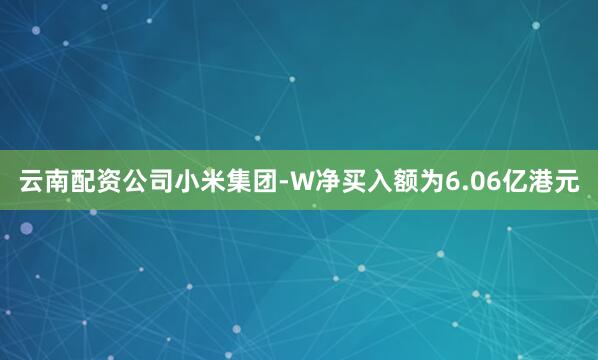 云南配资公司小米集团-W净买入额为6.06亿港元