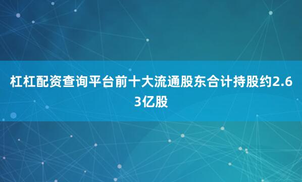 杠杠配资查询平台前十大流通股东合计持股约2.63亿股