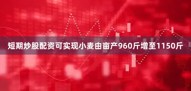 短期炒股配资可实现小麦由亩产960斤增至1150斤