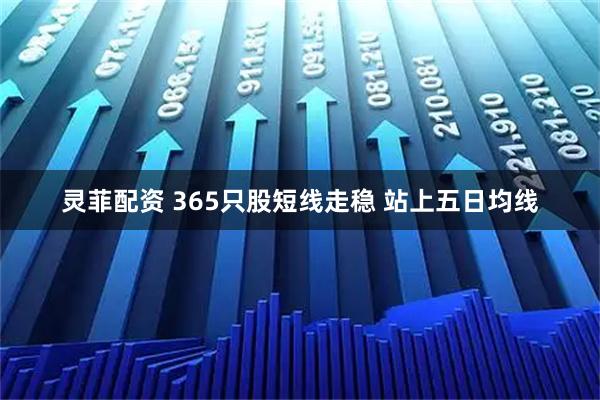 灵菲配资 365只股短线走稳 站上五日均线