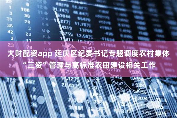 大财配资app 延庆区纪委书记专题调度农村集体“三资”管理与高标准农田建设相关工作