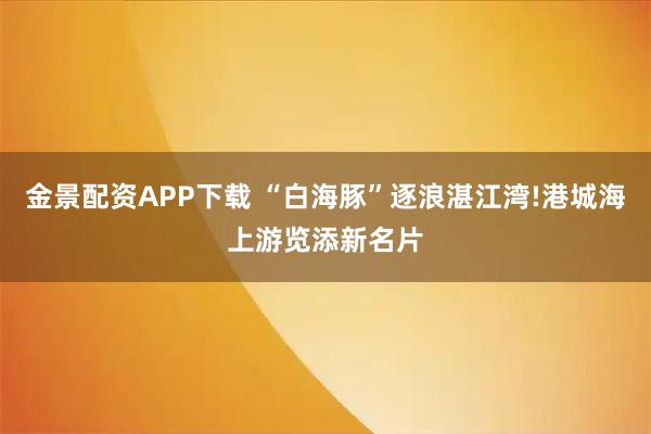 金景配资APP下载 “白海豚”逐浪湛江湾!港城海上游览添新名片